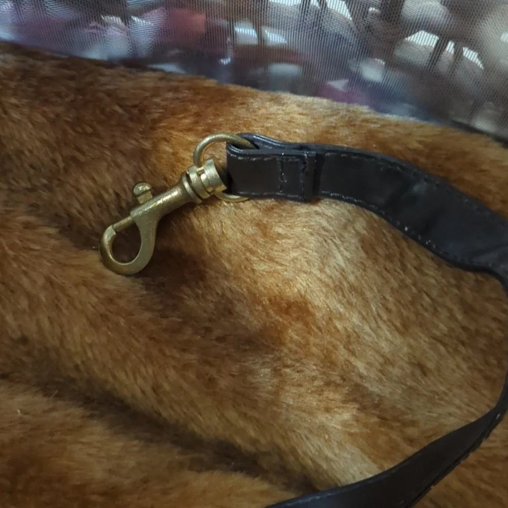 Beautiful Pampered pet bag